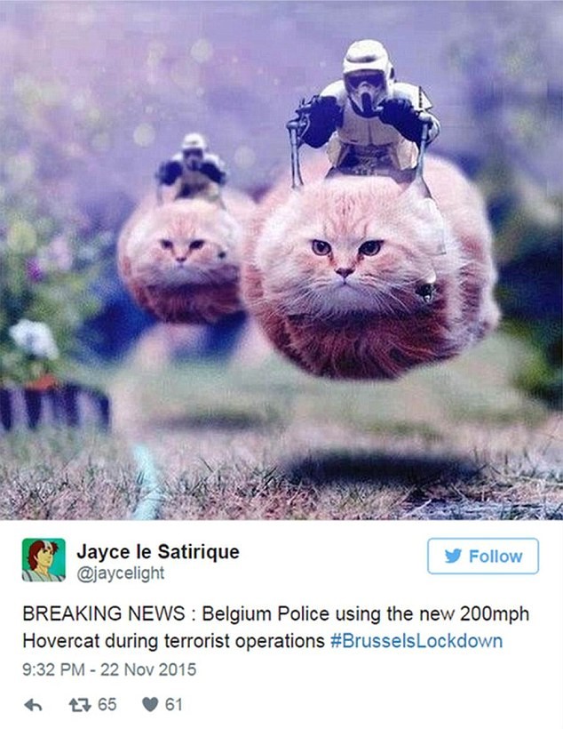 Star Wars Stormtroopers on "Hovercats"