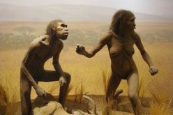 Lucy Australopithecus 41st anniversary was celebrated on Nov. 24