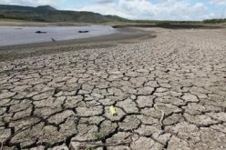 The rising global temperature due to El Niño has resulted in drought in many affected areas around the world.