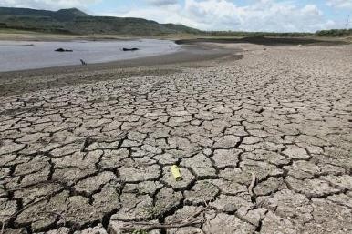 The rising global temperature due to El Niño has resulted in drought in many affected areas around the world.