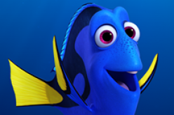 Dory from 