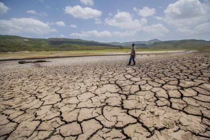 Drought caused by global warming.           
