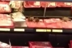 Birds Eating Raw Meat in Walmart