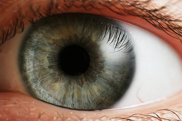 Around 4 million people in China suffer from blindness because of corneal diseases.