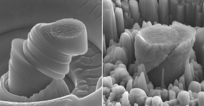 At left, a deformed sample of pure metal; at right, the strong new metal made of magnesium with silicon carbide nanoparticles. Each central micropillar is about 4 micrometers across.