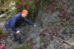 UW graduate student Sean LaHusen pointing to buried debris at an older slide on the north fork of the Stillaguamish River.