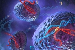 CRISPR-Cas9 allows scientists to create genetic changes in the cells.