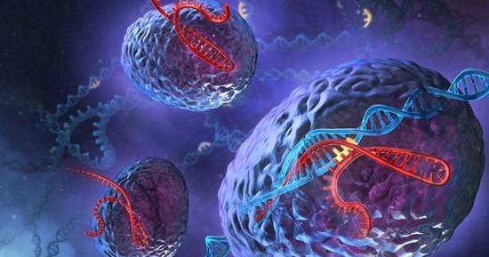 CRISPR-Cas9 allows scientists to create genetic changes in the cells.