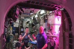For the first time, astronauts on board the International Space Station take a bite of lettuce grown entirely in space.