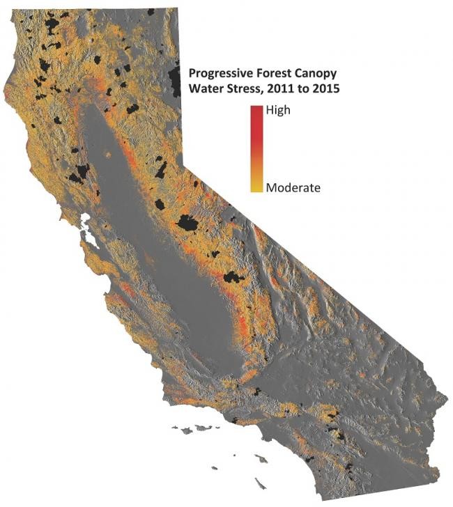 Progressive forest canopy water stress in the state of California from 2011 to 2015.
