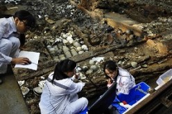 Archaeologists sift through debris in the wrecked ship 