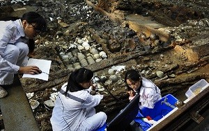 Archaeologists sift through debris in the wrecked ship "Nanhai No 1" at a museum in Hailing, Guangdong Province.