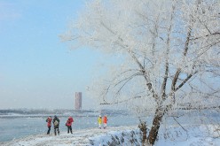 Rime Scenery Attracts Visitors In Jilin