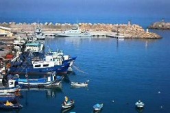 Chinese companies and the Algerian government have signed a deal to build a central transshipment port in Cherchell.