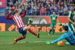 Atletico Madrid striker Fernando Torres (L) shoots the ball past Eibar goalkeeper Asier Riesgo.