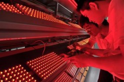 Employees measure the aging levels of low-energy consumption LED light bulbs at a factory in Nanjing, Jiangsu Province, May 18, 2012. 