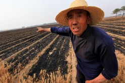 Yellow Wheat Fields Are Scorched To Black In Anyang