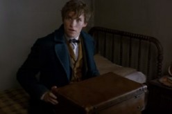 Oscar winner Eddie Redmayne plays the role of  Newt Scamander in 'Fantastic Beasts and Where to Find Them.'