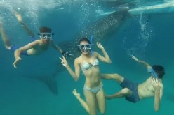 What’s backpacking without getting wet? Canadian couple (R) Eamon and (C) Bec, together with a (L) travel buddy, joined a whale shark underwater when they went backpacking in the Philippines.