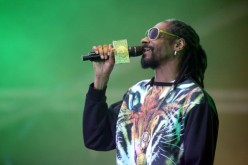 Snoop Dogg aka Snoop Lion performs live for fans during the 2014 Big Day Out Festival at Western Springs on January 17, 2014 in Auckland, New Zealand.