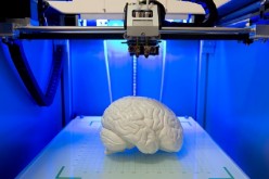 A brain model in a three-dimensional or 3D printer.