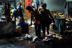 Here, there and everywhere: Bodies of dead dogs lie on the ground, hanged on a stall and piled up on one side in a market in Yulin.