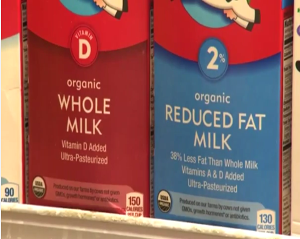 Whole milk has been found to have better effects on health than low fat milk