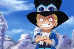 One Piece Episode 737 & 738 Preview