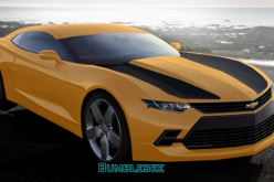 Possible new look of Bumblebee in 