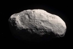 Manx is the first of its kind tailless comet that lives in the Oort cloud